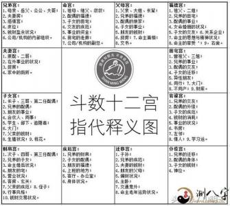 流年紫微命盘(因婚姻而贵的紫微命盘)